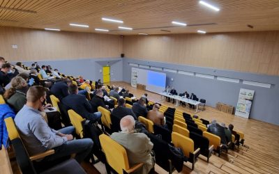 Monopolul Fin-Eco intră la analiză